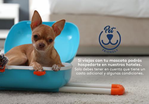 Admite mascotas Hotel ESTELAR Square Medellín