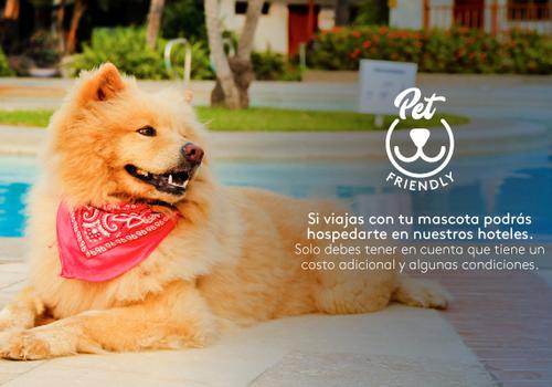 Admite mascotas Hotel ESTELAR Square Medellín
